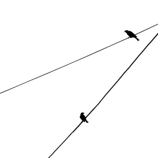 🧬 CCA reasoning and integration discussion