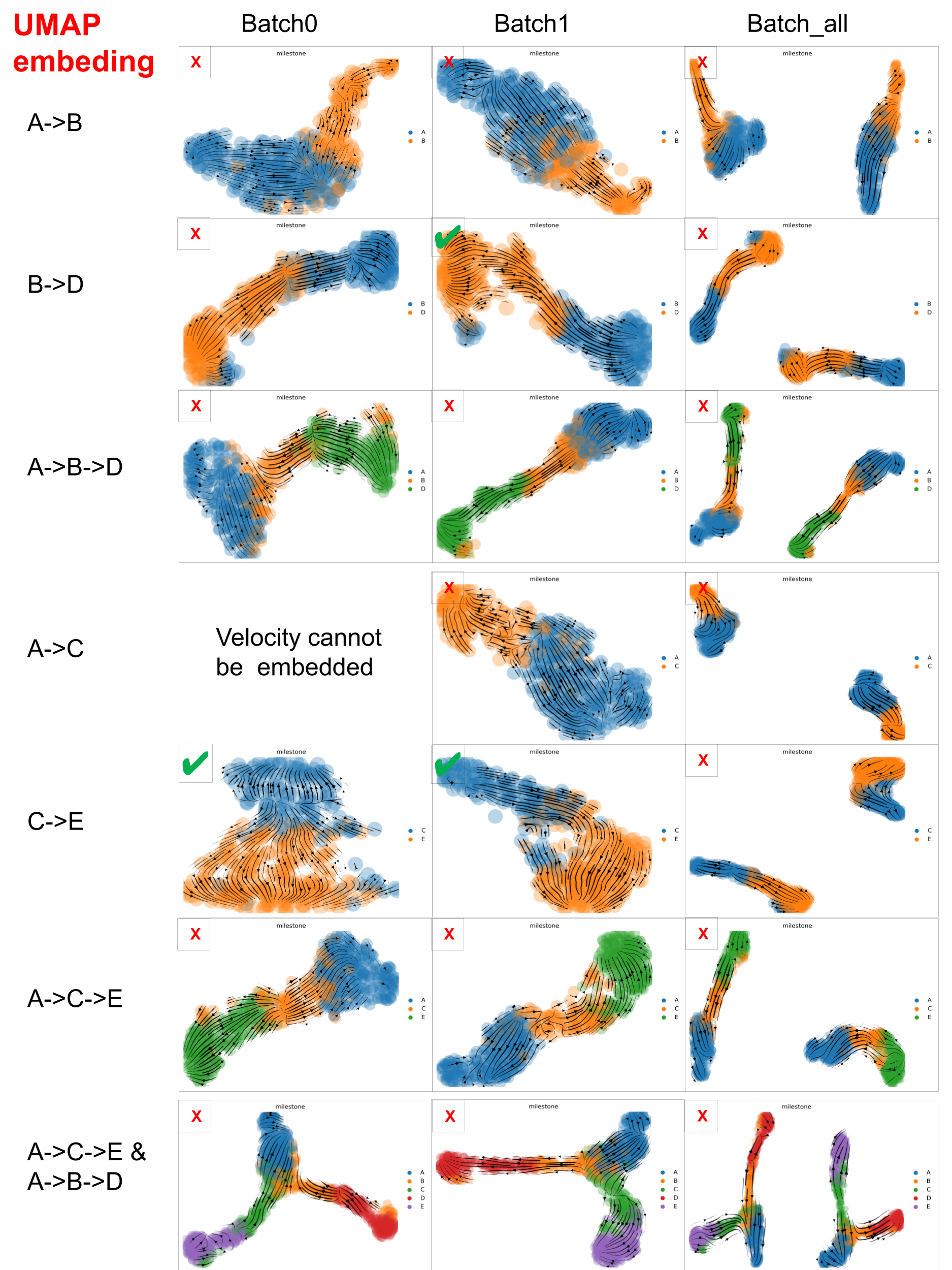 scVelo performance on datasets with varied &lsquo;complexity&rsquo; in UMAP space