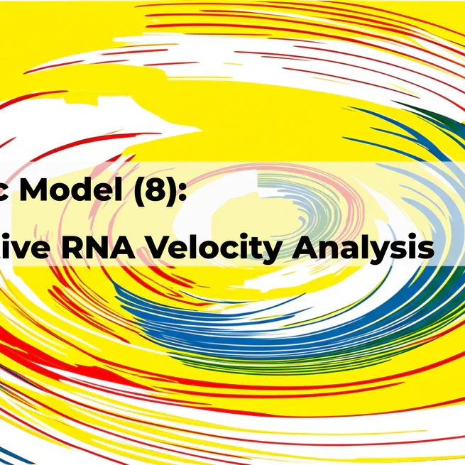 🧬 Dynamic RNA velocity model-- (8) effective scVelo analysis