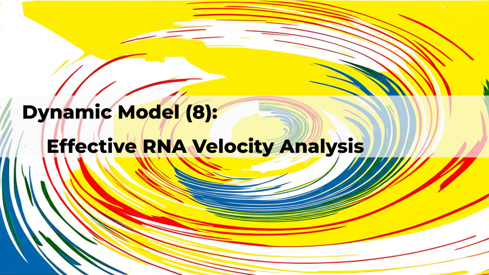 🧬 Dynamic RNA velocity model-- (8) effective scVelo analysis