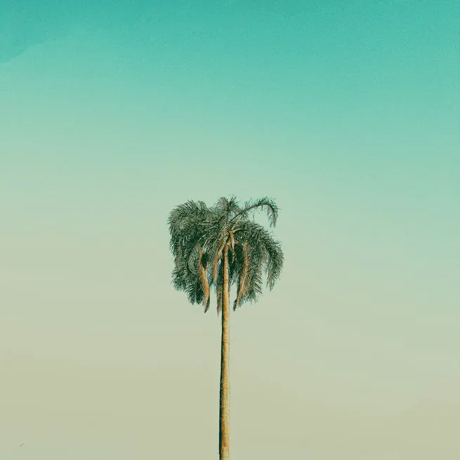 🧬 Seurat to analysis large sample size of bulk RNAseq. Discuss Wixcox is better for clinical samples