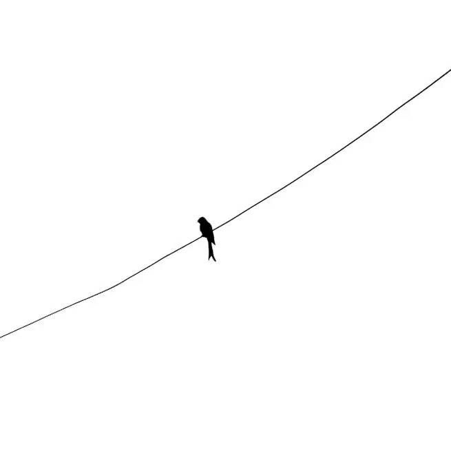 📊 Bypassing Marginals Using Conjugate Priors in Bayesian Inference-- Math Derivation